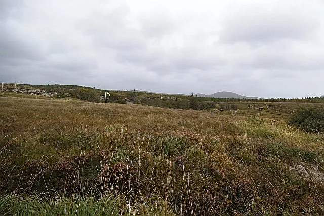 Fraoch agus portach oscailte faoi spéir liath i gCroich Uí Bhaoill, le binn tí i measc crann