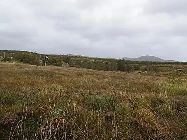 Fraoch agus portach oscailte faoi spéir liath i gCroich Uí Bhaoill, le binn tí i measc crann